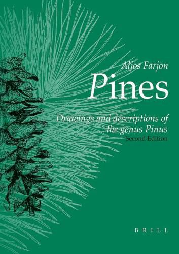 Pines, 2nd revised edition: Drawings and Descriptions of the Genus Pinus