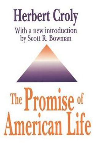 Cover image for The Promise of American Life