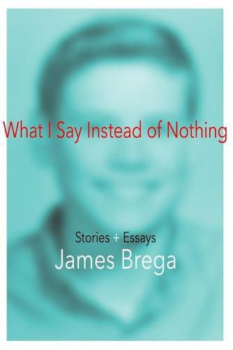 Cover image for What I Say Instead of Nothing: Stories and Essays by James Brega