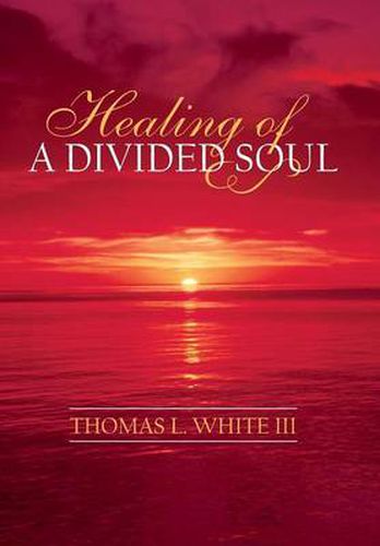 Cover image for Healing of a Divided Soul