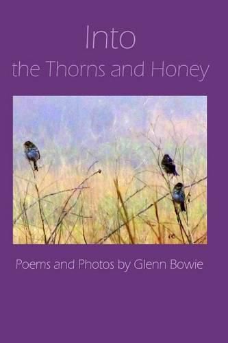 Cover image for Into the Thorns and Honey