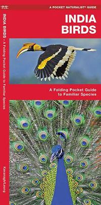 Cover image for India Birds: A Folding Pocket Guide to Familiar Species