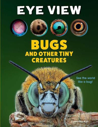 Cover image for Eye View: Bugs and Other Tiny Creatures