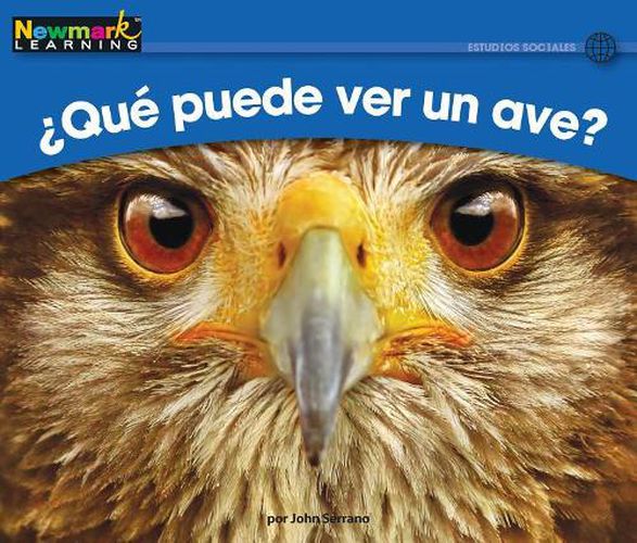Cover image for +qut Puede Ver Un Ave? Leveled Text