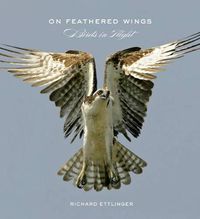 Cover image for On Feathered Wings