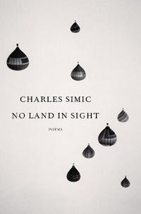 Cover image for No Land in Sight: Poems