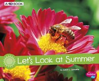 Cover image for Let's Look at Summer: A 4D Book