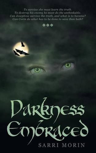 Cover image for Darkness Embraced