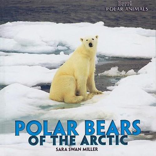 Polar Bears of the Arctic