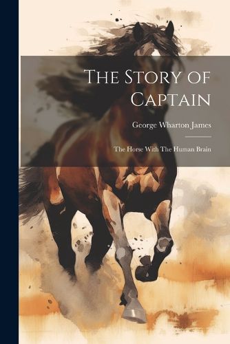 Cover image for The Story of Captain