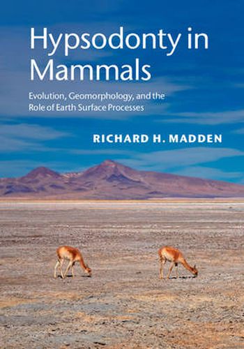 Cover image for Hypsodonty in Mammals: Evolution, Geomorphology, and the Role of Earth Surface Processes