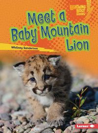 Cover image for Meet a Baby Mountain Lion