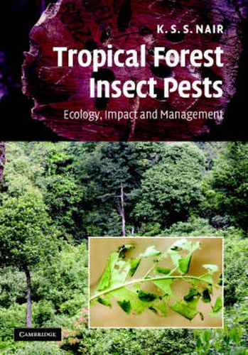 Cover image for Tropical Forest Insect Pests: Ecology, Impact, and Management