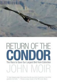 Cover image for Return of the Condor: The Race To Save Our Largest Bird From Extinction