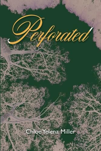 Cover image for Perforated