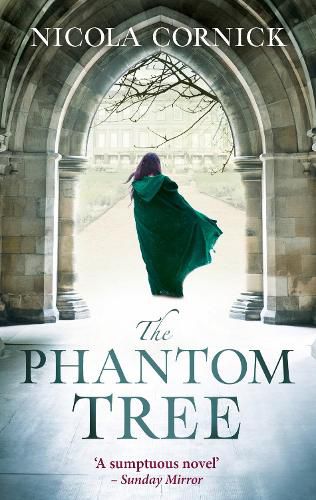 Cover image for The Phantom Tree