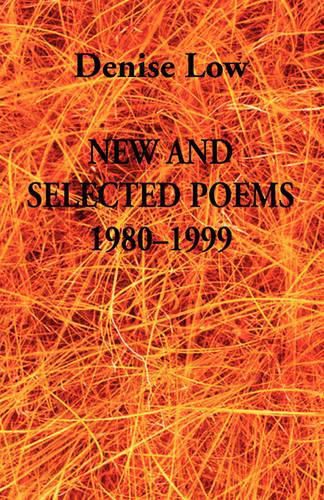 Cover image for New & Selected Poems: 1980-1999