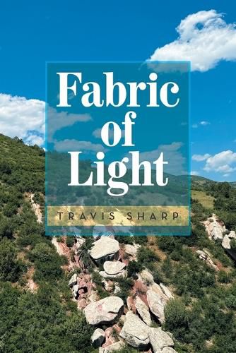 Cover image for Fabric of Light