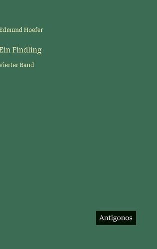 Cover image for Ein Findling