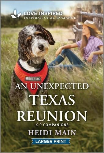 Cover image for An Unexpected Texas Reunion