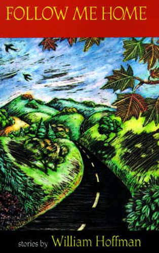 Cover image for Follow Me Home: Stories