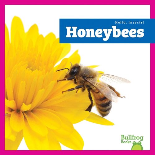 Cover image for Honeybees