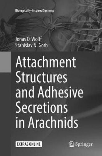 Cover image for Attachment Structures and Adhesive Secretions in Arachnids