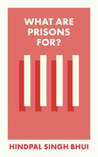 Cover image for What Are Prisons For?