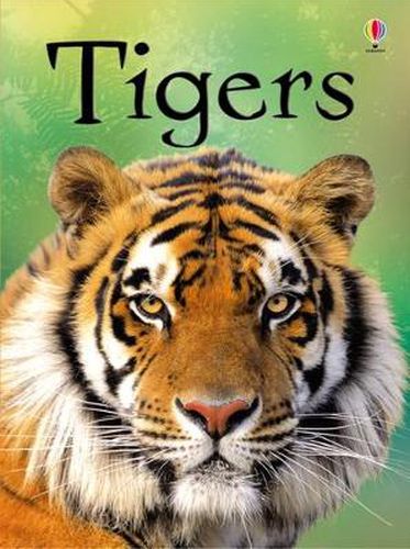 Cover image for Tigers