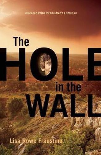 Cover image for The Hole in the Wall