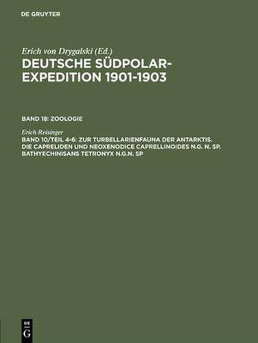 Cover image for Deutsche Sudpolar-Expedition 1901-1903, Band 10/Teil 4-6, Zur Turbellarienfauna der Antarktis. Die Capreliden und Neoxenodice Caprellinoides N.G. N. SP. Bathyechinisans tetronyx N.G.N. SP