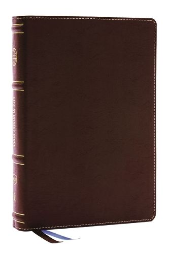 Life in Christ Bible: Discovering, Believing, and Rejoicing in Who God Says You Are (NKJV, Brown Bonded Leather, Red Letter, Comfort Print)