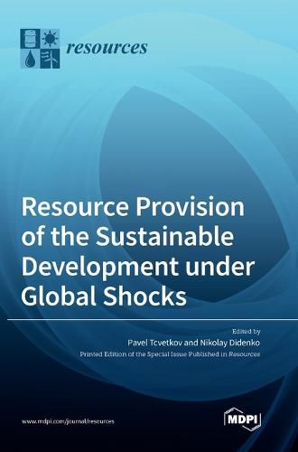 Cover image for Resource Provision of the Sustainable Development under Global Shocks