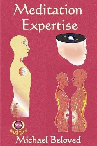 Cover image for Meditation Expertise