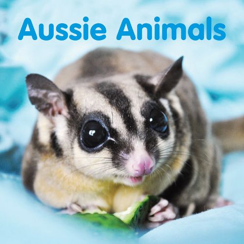 Cover image for Aussie Animals: Board book