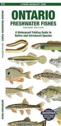 Cover image for Ontario Freshwater Fishes