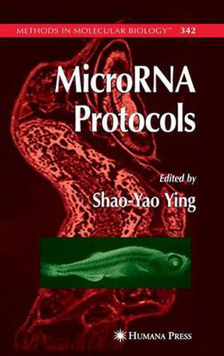 Cover image for MicroRNA Protocols