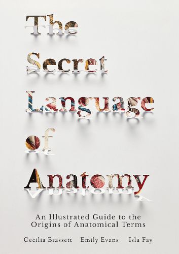 Cover image for The Secret Language of Anatomy: An Illustrated Guide to the Origins of Anatomical Terms