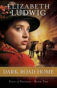 Cover image for Dark Road Home