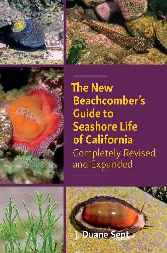 Cover image for The New Beachcombers Guide to Seashore Life of Californi: Completely Revised and Expanded 2023