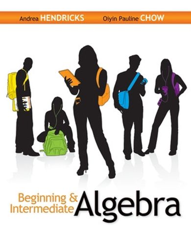 Cover image for Beginning & Intermediate Algebra