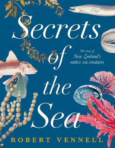 Cover image for Secrets of the Sea: The Story of New Zealand's Native Sea Creatures