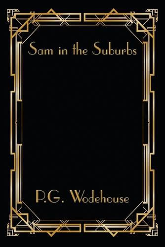 Cover image for Sam in the Suburbs