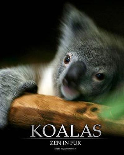 Cover image for Koalas: Zen in Fur, Bw Edition