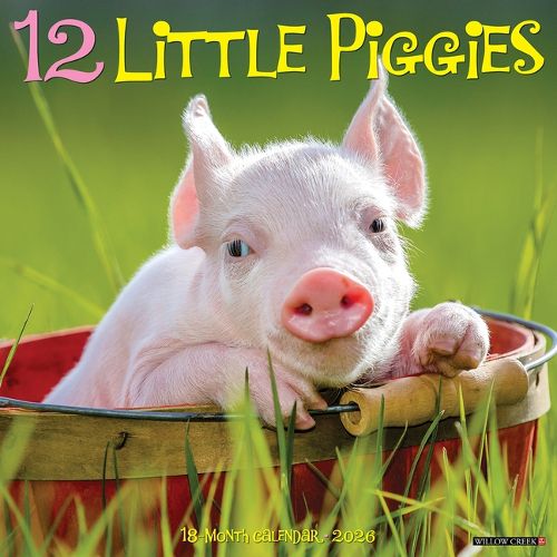 Cover image for 12 Little Piggies 2026 Wall Calendar