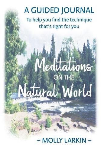 Cover image for Meditations on the Natural World: A Guided Journal To help you find the technique that's right for you