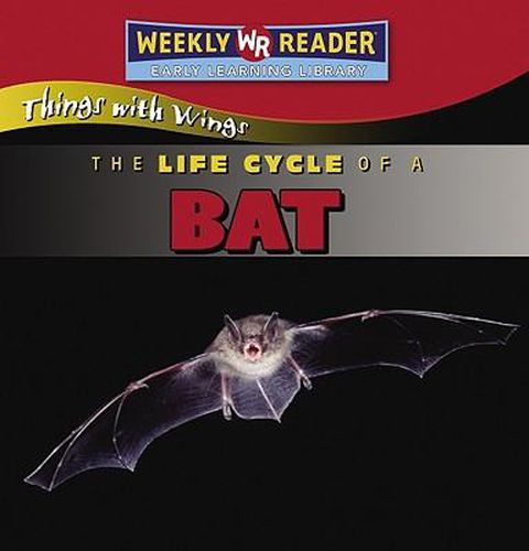 The Life Cycle of a Bat