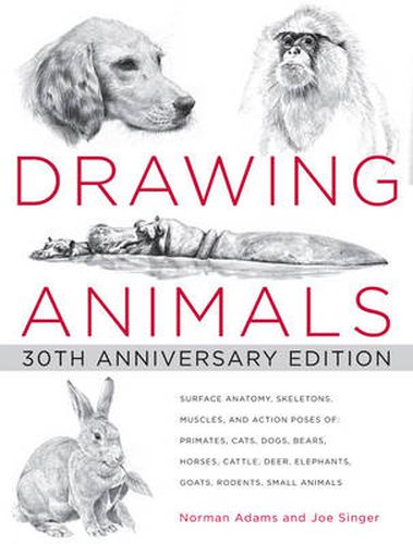 Drawing Animals