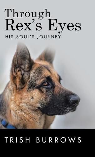 Cover image for Through Rex's Eyes: His Soul's Journey