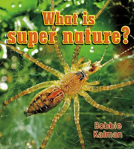 Cover image for What is super nature?